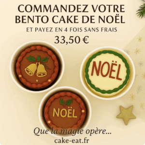 Bento cakes Noël